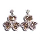 TCC Brand-Earring-SE30365B1