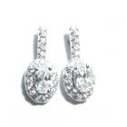 TCC Brand-Earring-SE30143A1