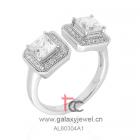 AL60304A1