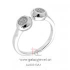 AL60313A1