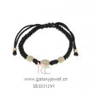 SB30312V1